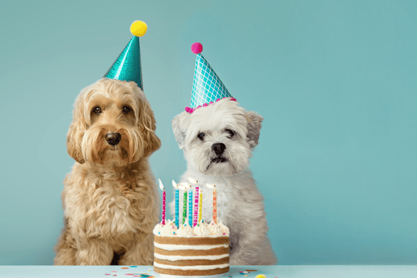 ReDesign Webseite in Arbeit